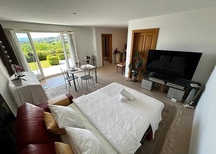 Lakeview Apartment-lavaux Daire Grandvaux