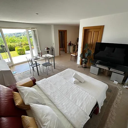 Lakeview Apartment-lavaux 아파트 Grandvaux
